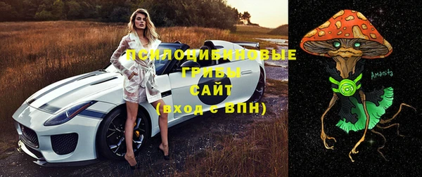 спиды Алексеевка