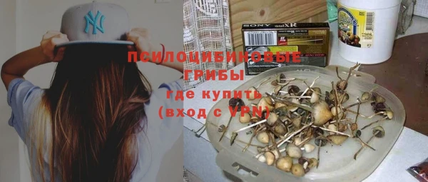 тгк Алексин