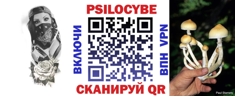 Галлюциногенные грибы Psilocybine cubensis  Дмитровск 