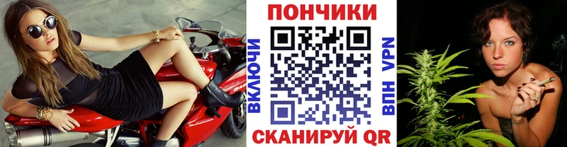 Каннабис OG Kush  Дмитровск 